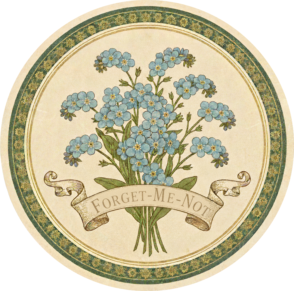 Forget-me-not
