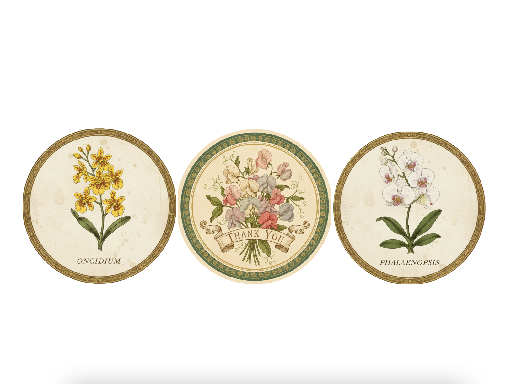 Three Soap Gift Box: Sweat Peas Thank You, Omcidium, and Phaleanopsis